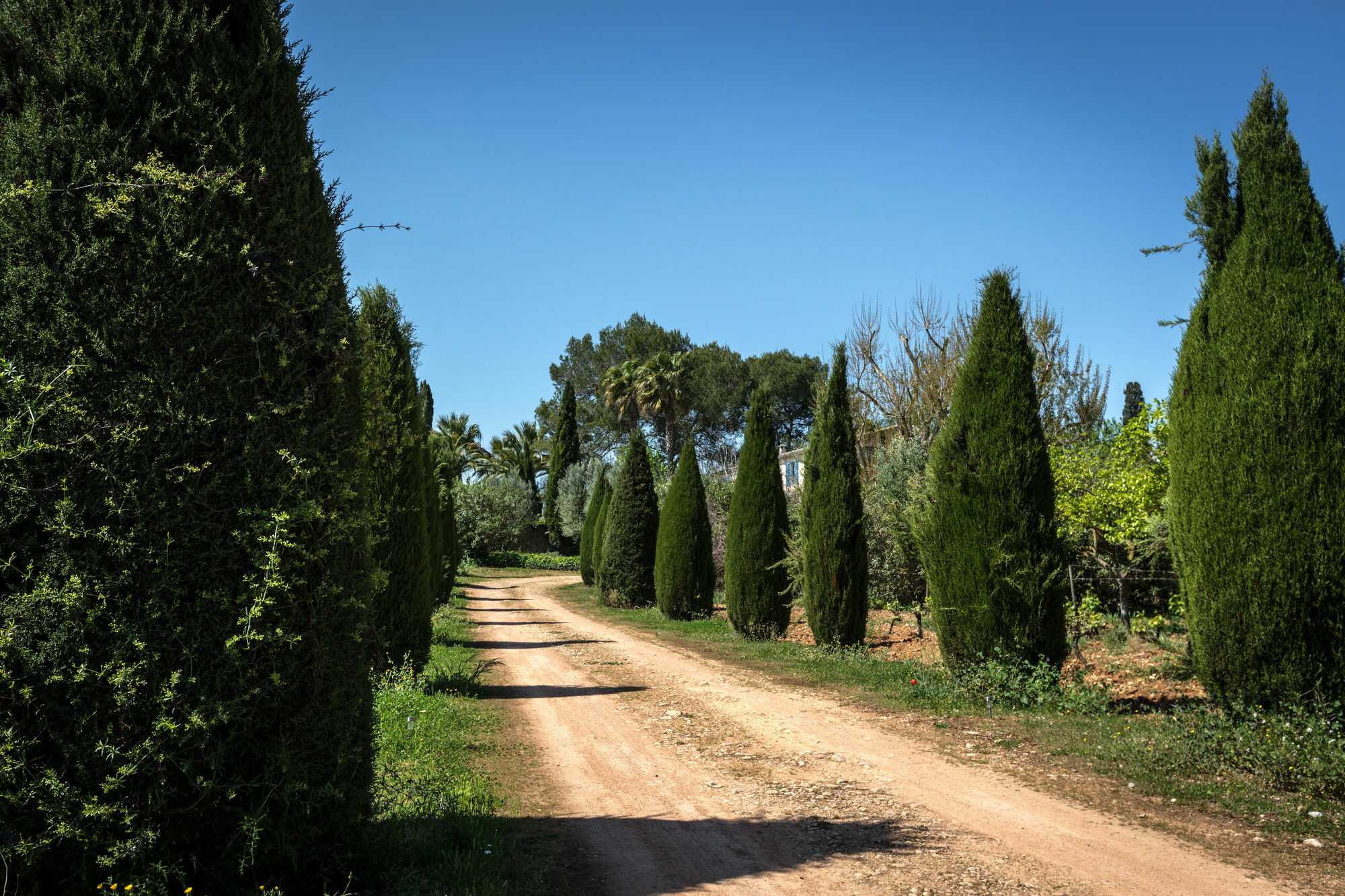 סנסייס Finca Son Miranda - La Organic מראה חיצוני תמונה