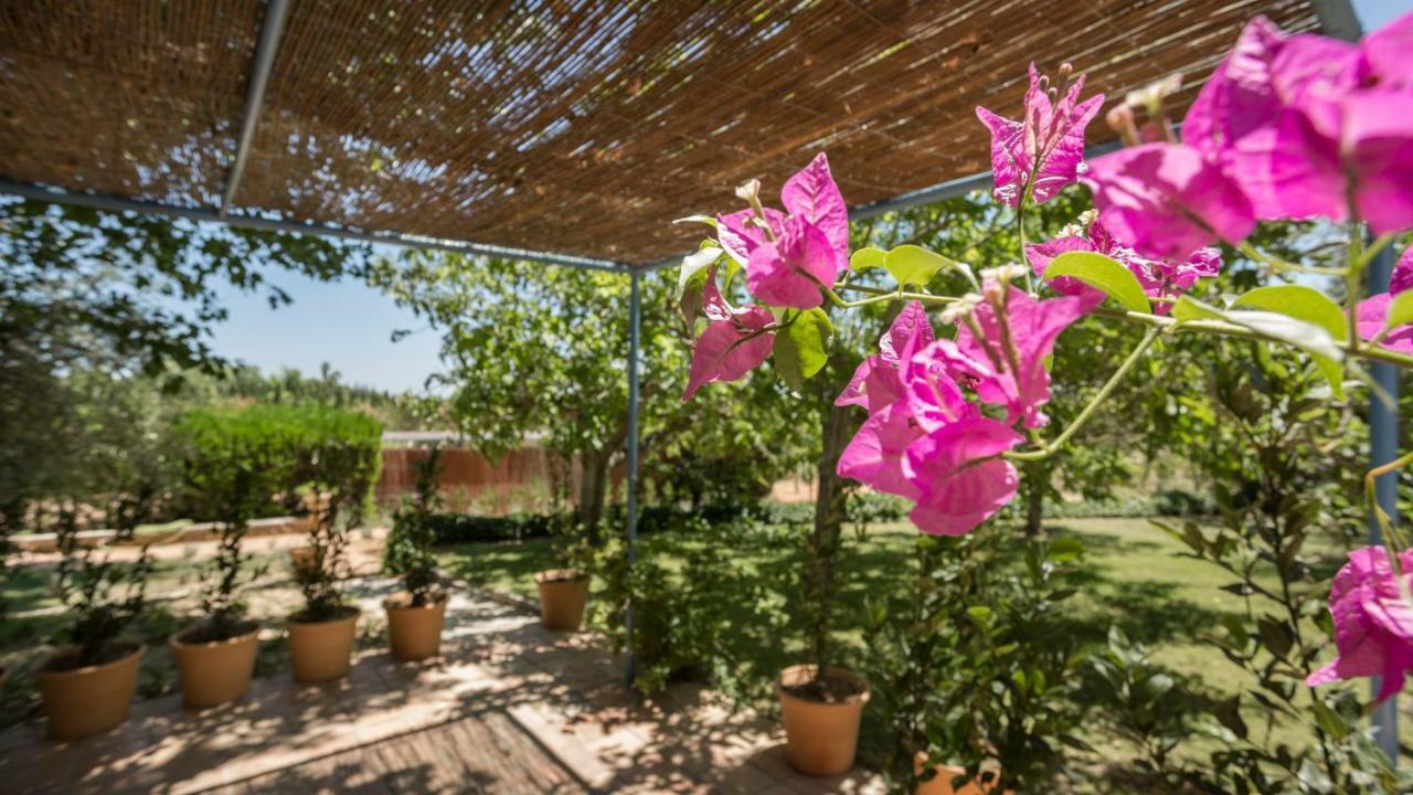 סנסייס Finca Son Miranda - La Organic מראה חיצוני תמונה