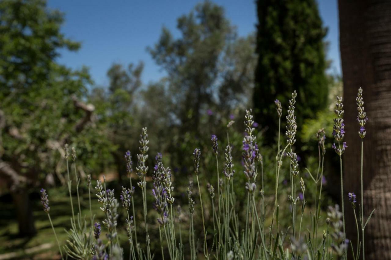 סנסייס Finca Son Miranda - La Organic מראה חיצוני תמונה