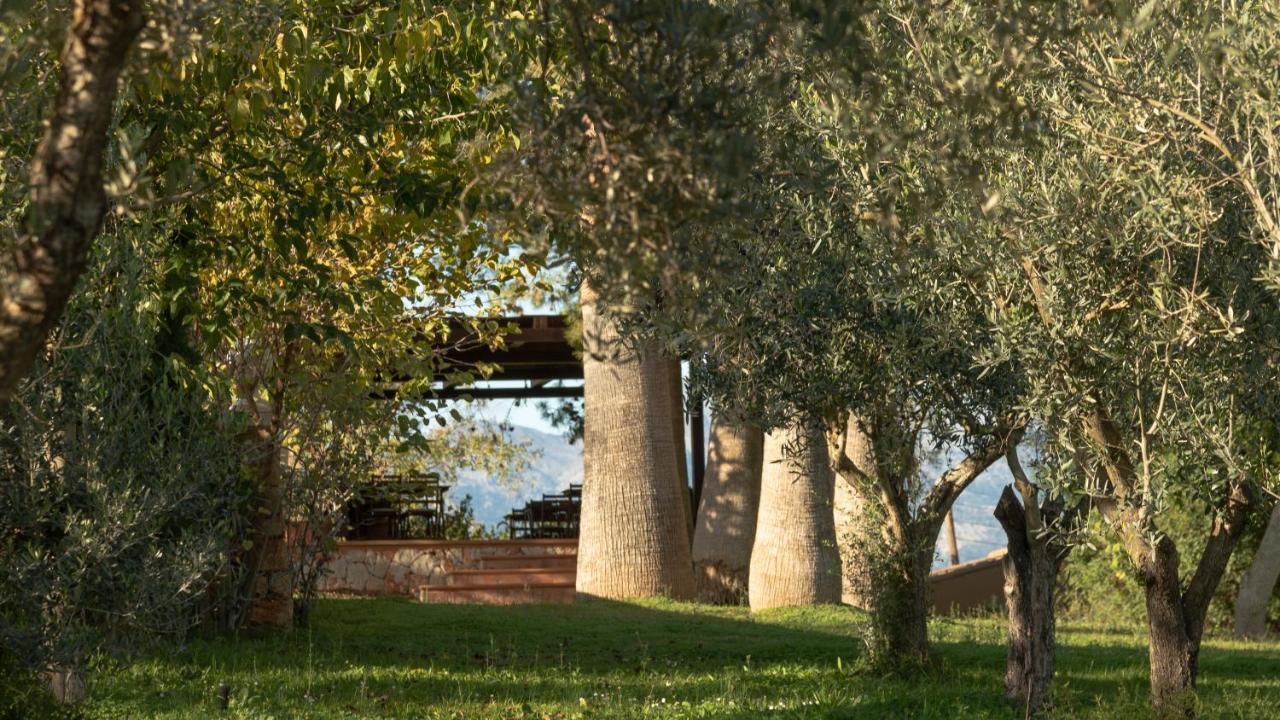 סנסייס Finca Son Miranda - La Organic מראה חיצוני תמונה