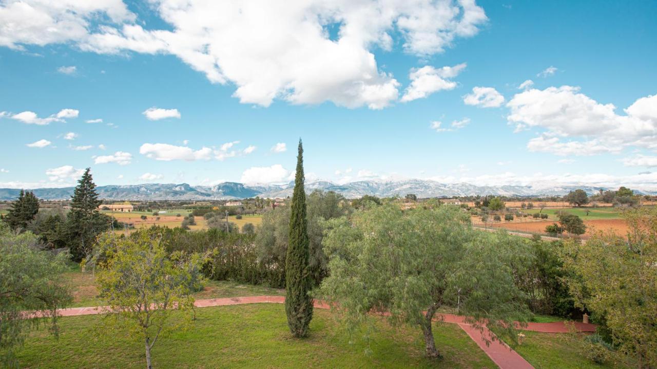 סנסייס Finca Son Miranda - La Organic מראה חיצוני תמונה